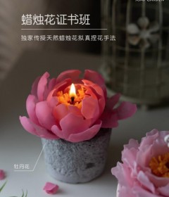 蜜蜡花系列